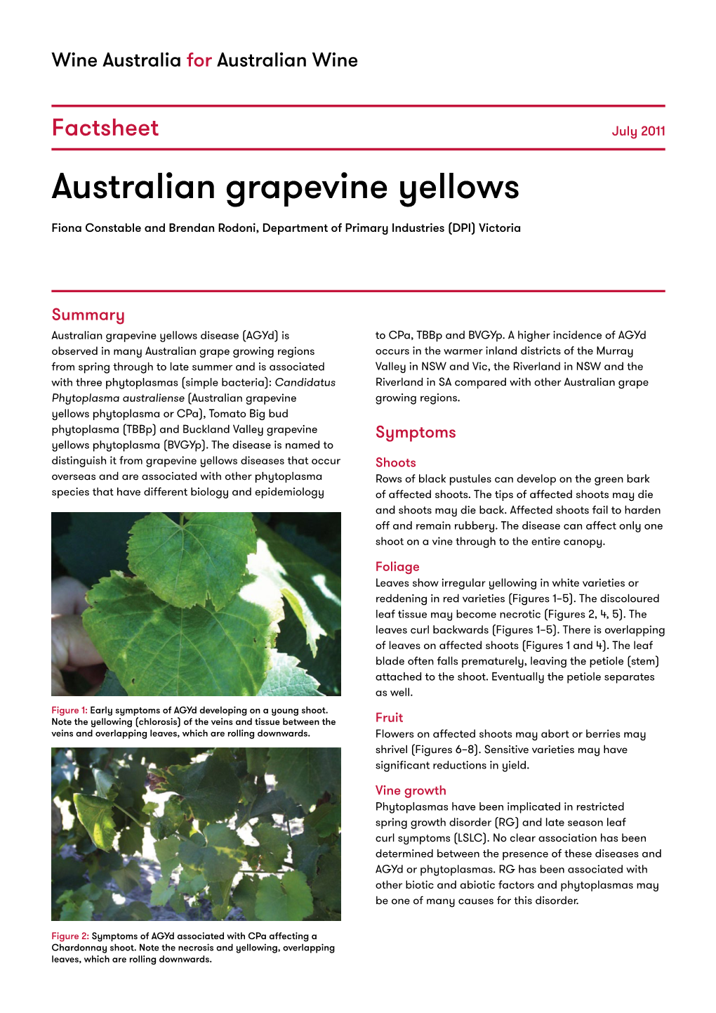 Australian Grapevine Yellows