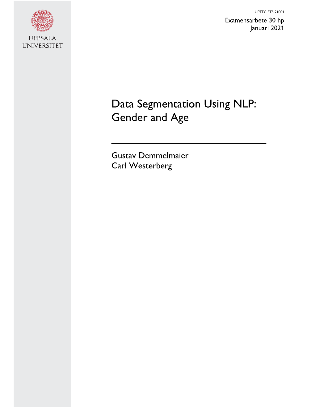 Data Segmentation Using NLP: Gender and Age