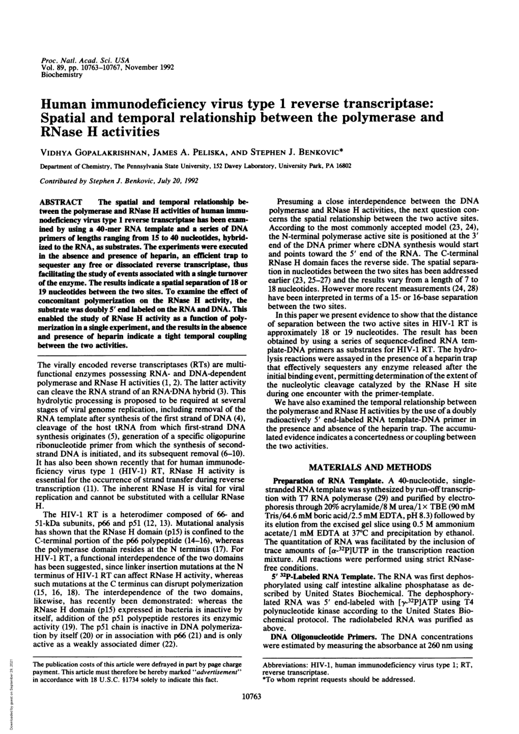 Rnase H Activities