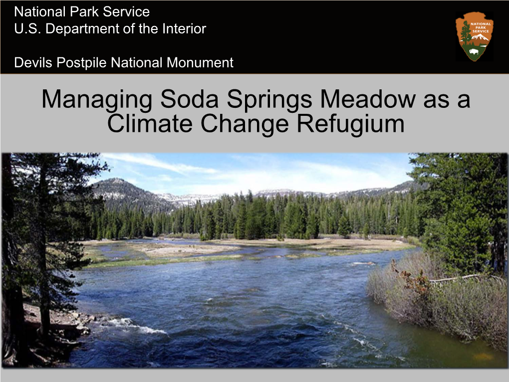 Managing Soda Springs Meadow As a Climate Change Refugium