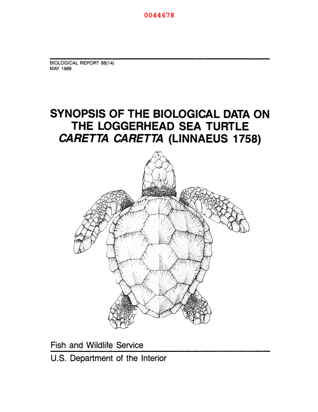 Synopsis of the Biological Data on the Loggerhead Sea Turtle Caretta Caretta (Linnaeus 1758)