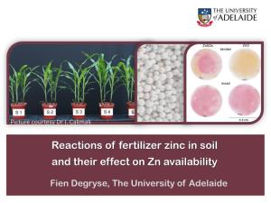 Reactions of Fertilizer Zinc in Soil and Their Effect on Zn Availability