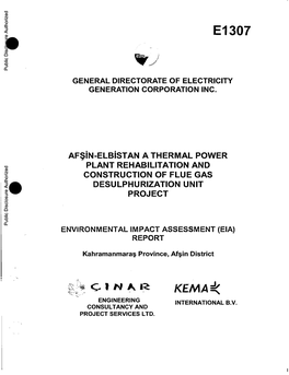 El 307 Public Disclosure Authorized GENERAL DIRECTORATE of ELECTRICITY GENERATION CORPORATION INC