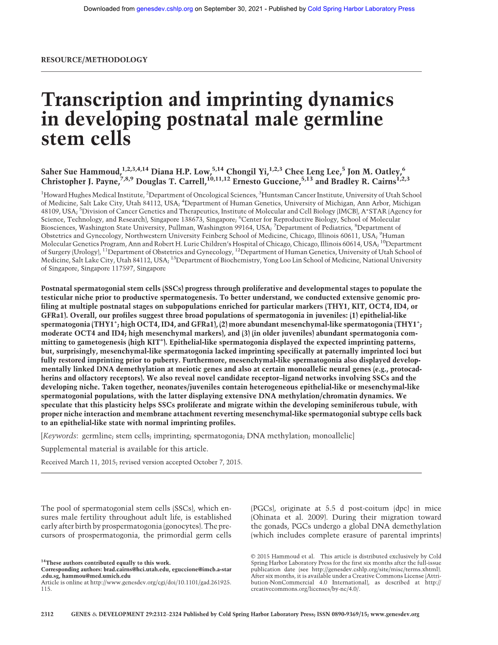 Transcription and Imprinting Dynamics in Developing Postnatal Male Germline Stem Cells