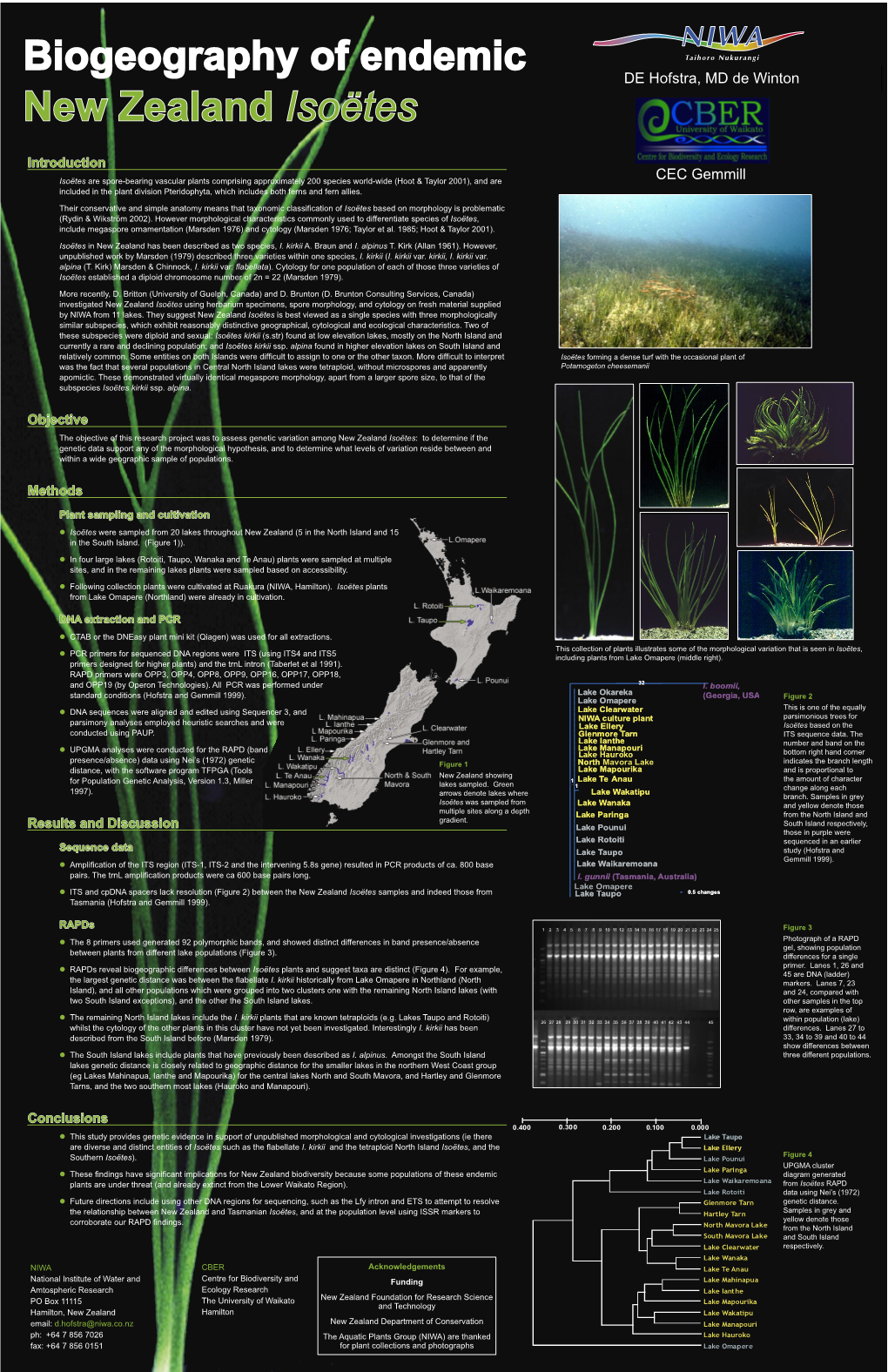 Biogeography of Endemic Isoetes