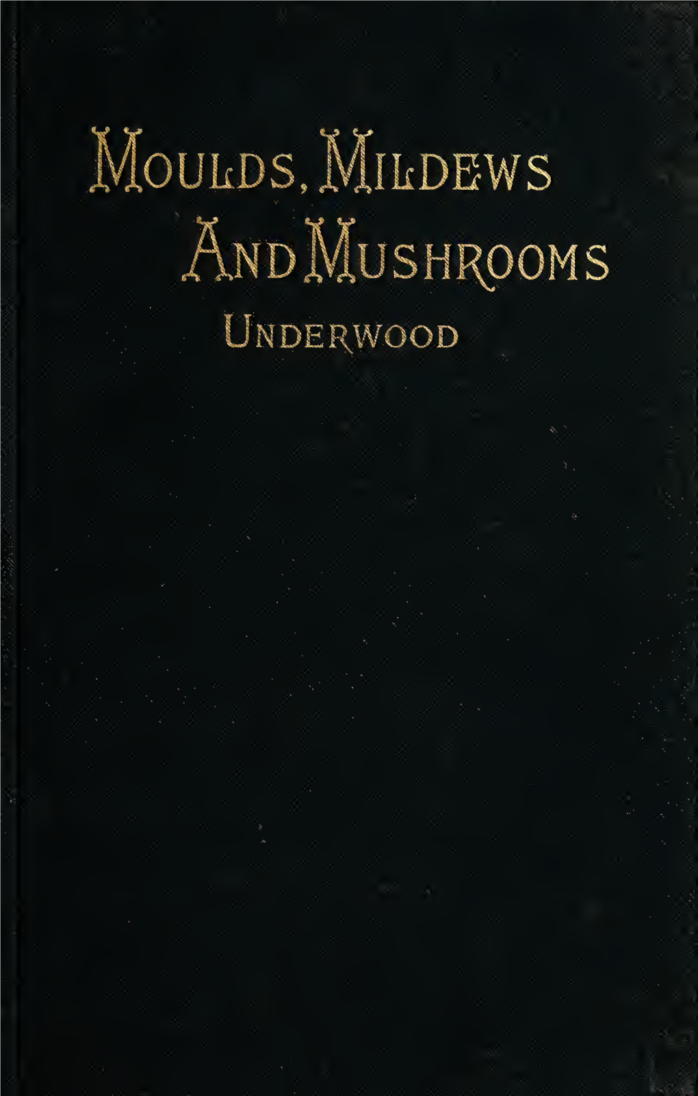 Moulds, Mildews, and Mushrooms