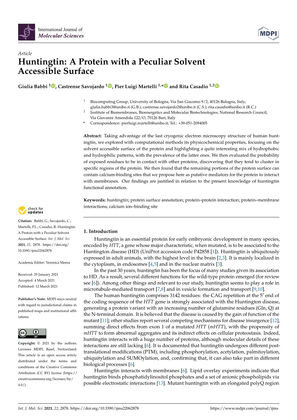 Huntingtin: a Protein with a Peculiar Solvent Accessible Surface