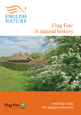 Flag Fen: a Natural History