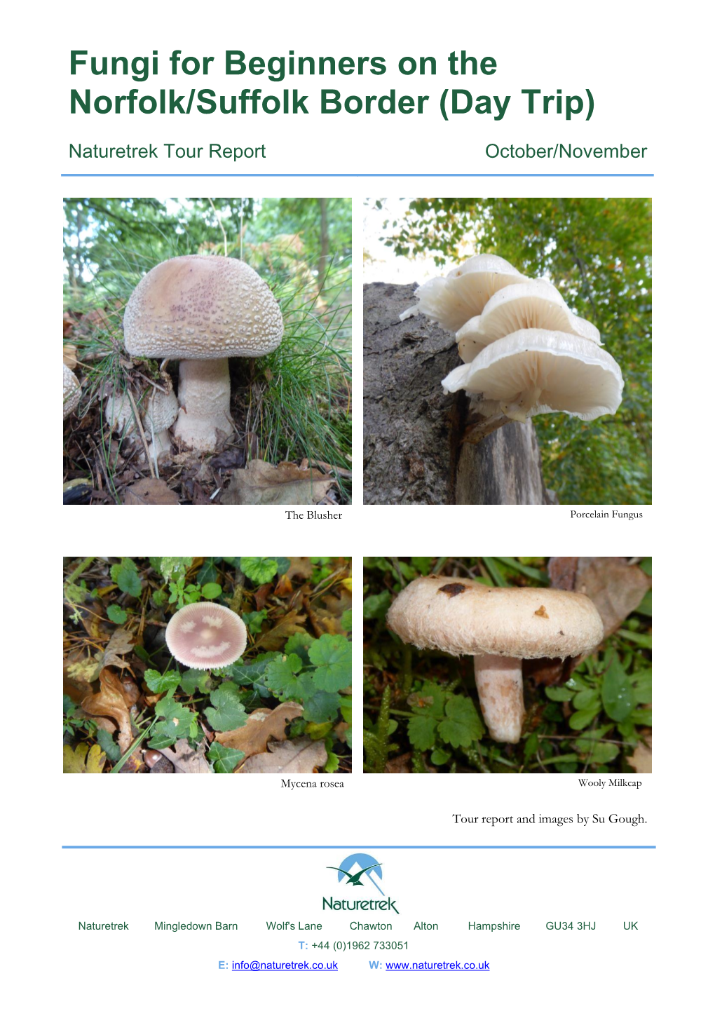 Fungi for Beginners on the Norfolk/Suffolk Border (Day Trip)