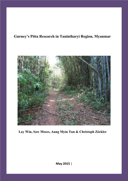 Gurney's Pitta Research in Tanintharyi Region, Myanmar