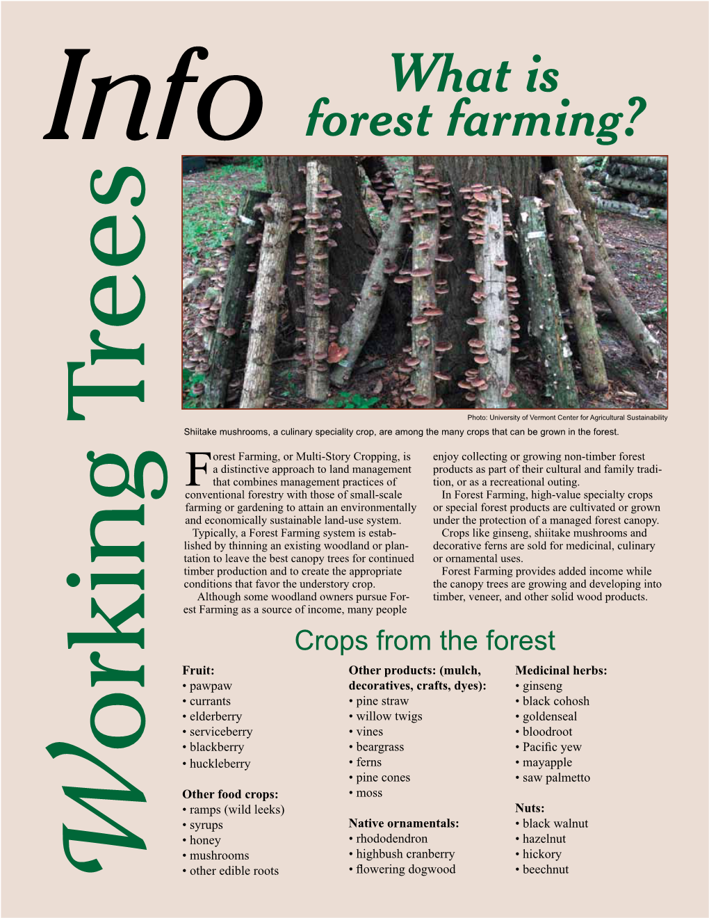 What Is Forest Farming? - Docslib