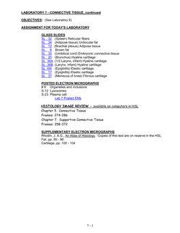 LABORATORY 7 - CONNECTIVE TISSUE, Continued