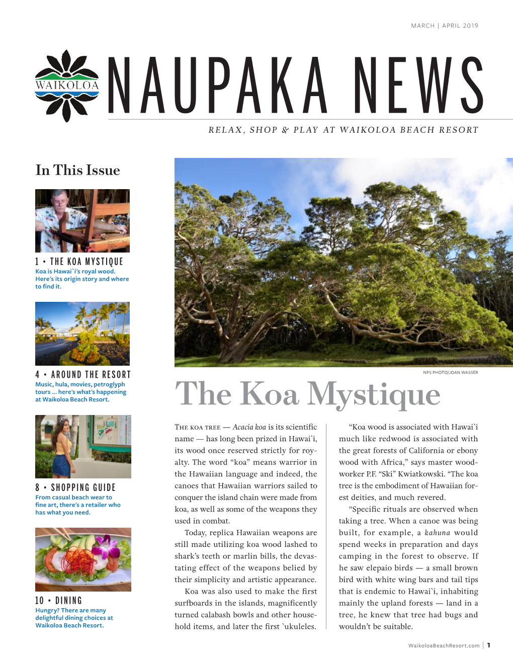 THE KOA MYSTIQUE Koa Is Hawai`I's Royal Wood