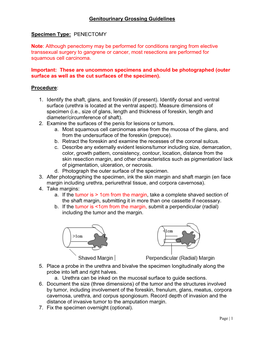 Genitourinary Grossing Guidelines Specimen Type: PENECTOMY Note
