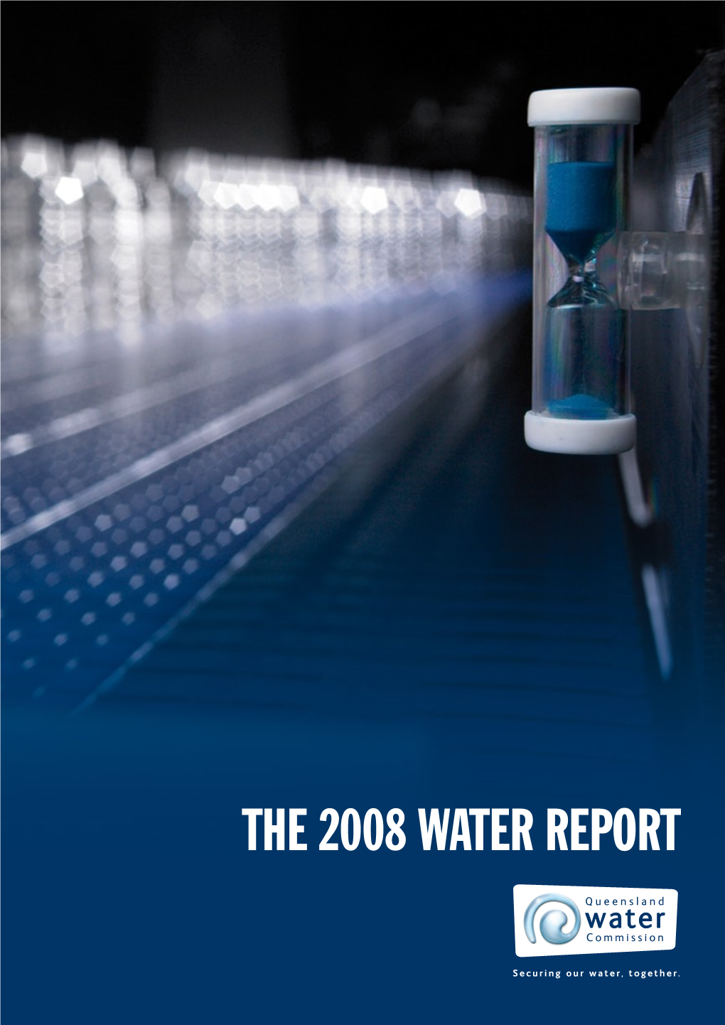 The 2008 Water Report