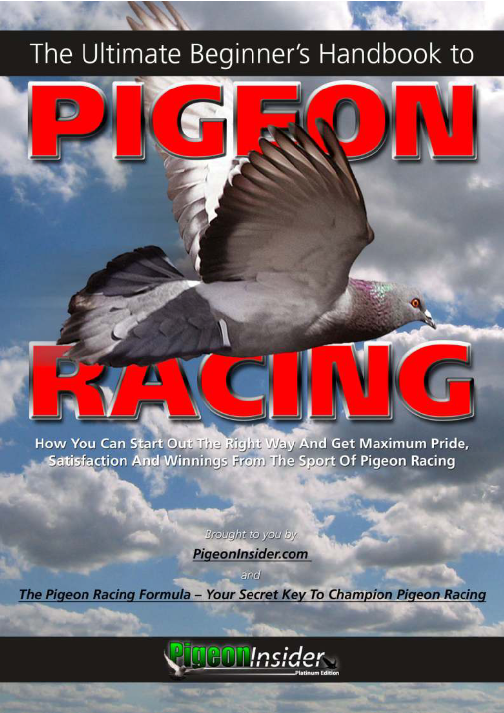 The Ultimate Beginner's Handbook to Pigeon Racing R2.Cdr