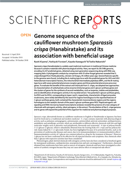Genome Sequence of the Cauliflower Mushroom Sparassis Crispa