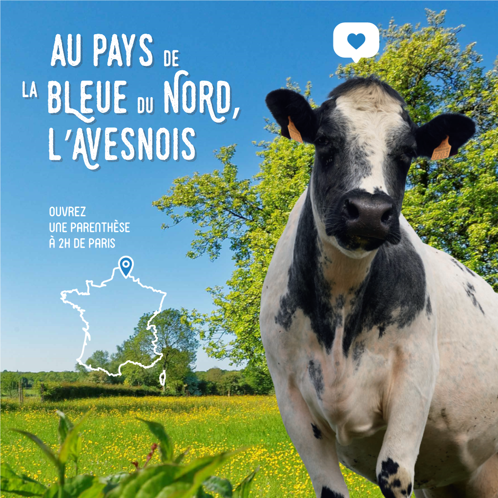 Au Pays De La Bleue Du Nord, L'avesnois