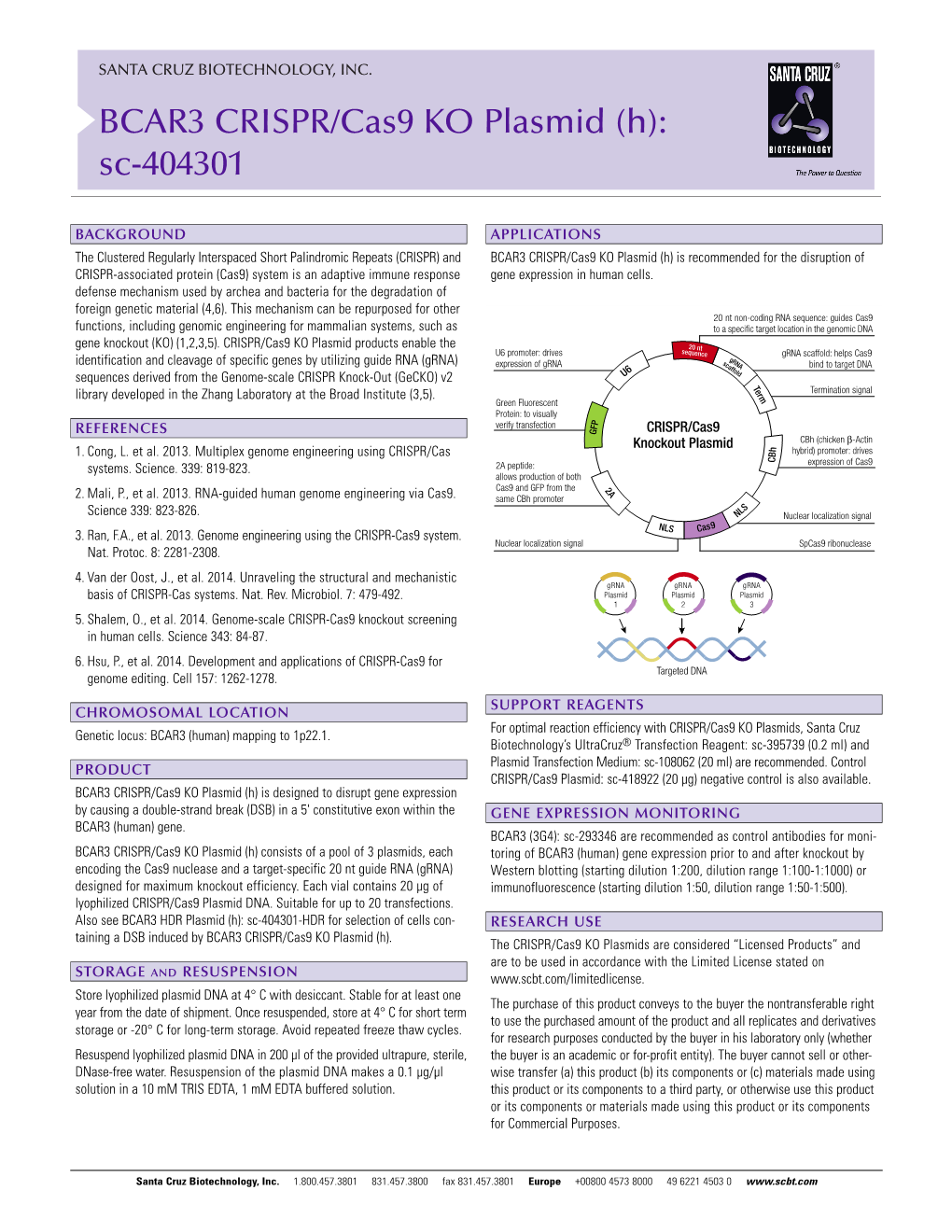 BCAR3 CRISPR/Cas9 KO Plasmid (H): Sc-404301