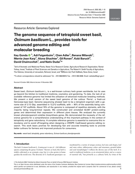 The Genome Sequence of Tetraploid Sweet Basil, Ocimum Basilicum L