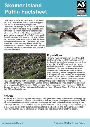 Skomer Island Puffin Factsheet