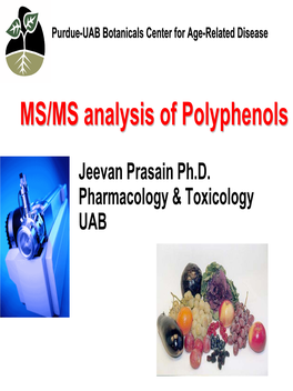 MS/MS Analysis of Polyphenols