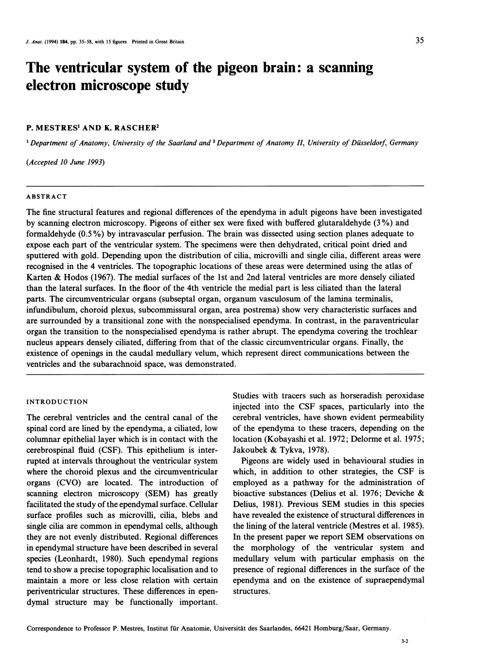 The Ventricular System of the Pigeon Brain: a Scanning Electron Microscope Study