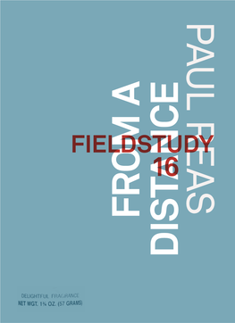Fieldstudy 16. from a Distance