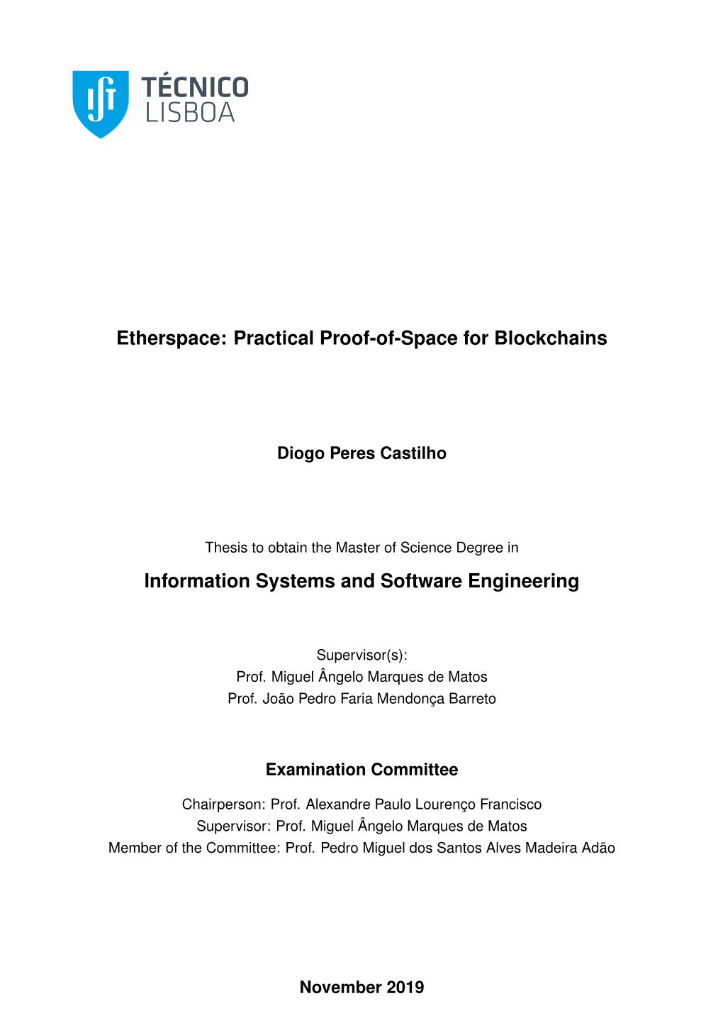 Practical Proof-Of-Space for Blockchains Information Systems