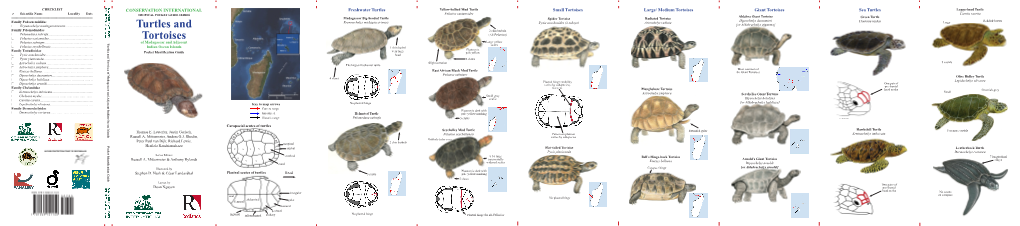 Turtles and Tortoises of Madagascar and Adjacent Indian Ocean Islands Pocket Identification Guide of Madagascar and Adjacent Scales  Pelusios Seychellensis