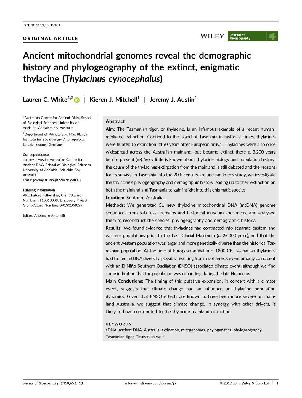 Ancient Mitochondrial Genomes Reveal the Demographic History and Phylogeography of the Extinct, Enigmatic Thylacine (Thylacinus Cynocephalus)