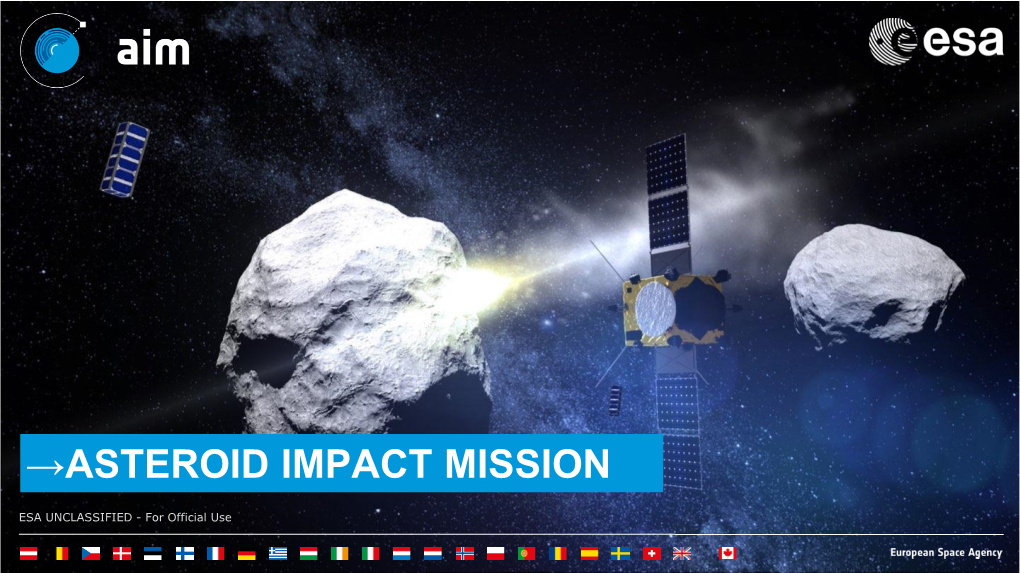 Asteroid Impact Mission (AIM)