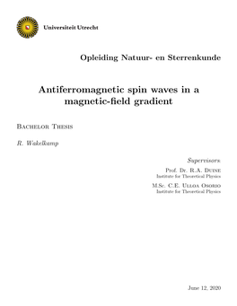 Antiferromagnetic Spin Waves in a Magnetic-Field Gradient