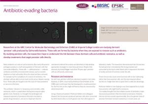 Antibiotic-Evading Bacteria