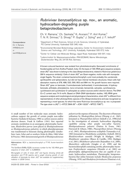Rubrivivax Benzoatilyticus Sp. Nov., an Aromatic, Hydrocarbon-Degrading Purple Betaproteobacterium