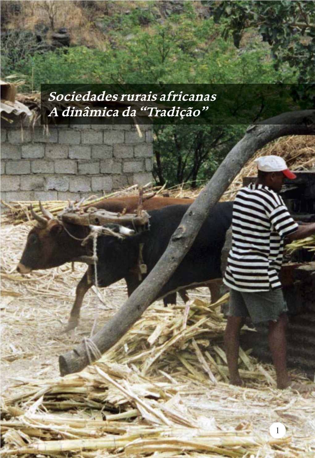 Sociedades Rurais Africanas a Dinâmica Da “Tradição”