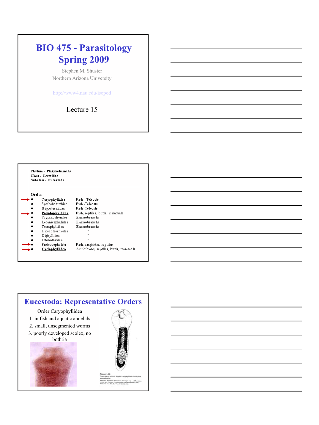 BIO 475 - Parasitology Spring 2009 Stephen M