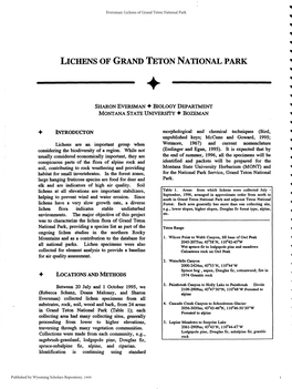 • • Lichens of Grand Teton National Park • • -•