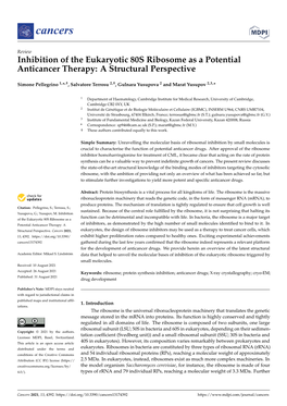 Inhibition of the Eukaryotic 80S Ribosome As a Potential Anticancer Therapy: a Structural Perspective