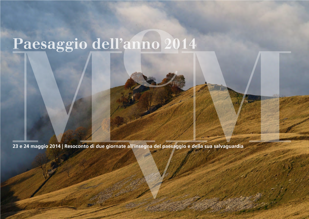 Paesaggio Dell'anno 2014