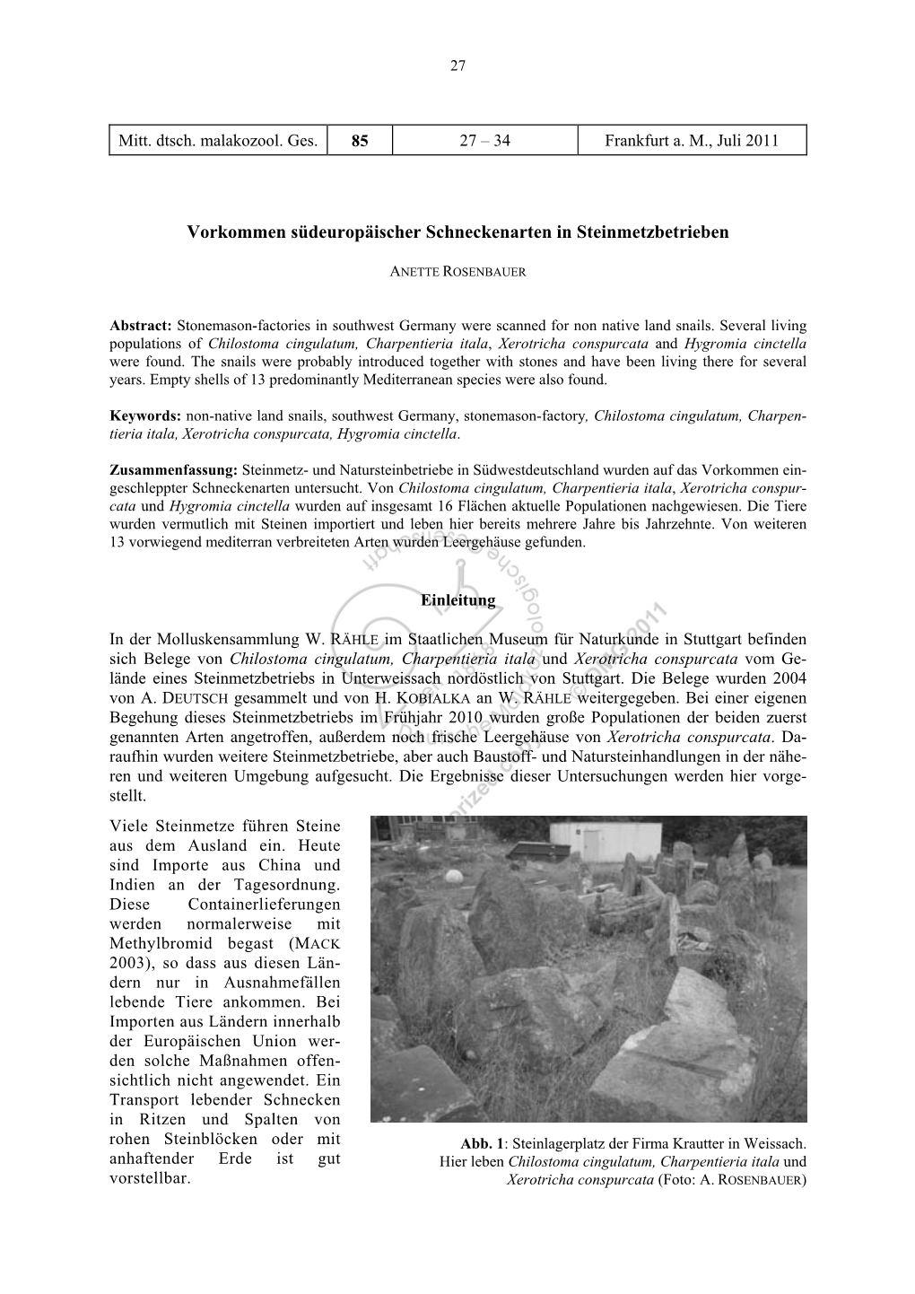 ROSENBAUER, A.: Vorkommen Südeuropäischer Schneckenarten in Steinmetzbetrieben
