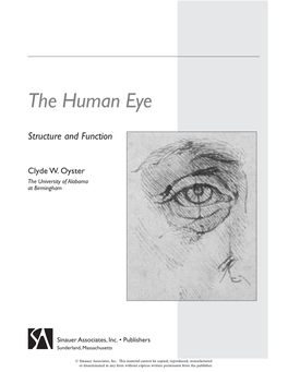 The Human Eye: Structure and Function