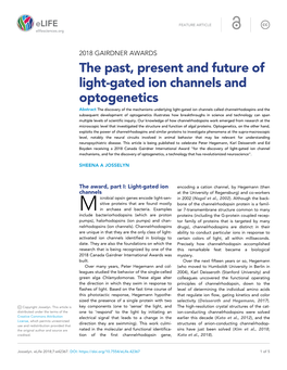 The Past, Present and Future of Light-Gated Ion Channels and Optogenetics