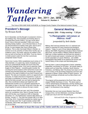 WANDERING TATTLER Newsletter