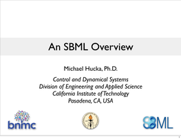 An SBML Overview