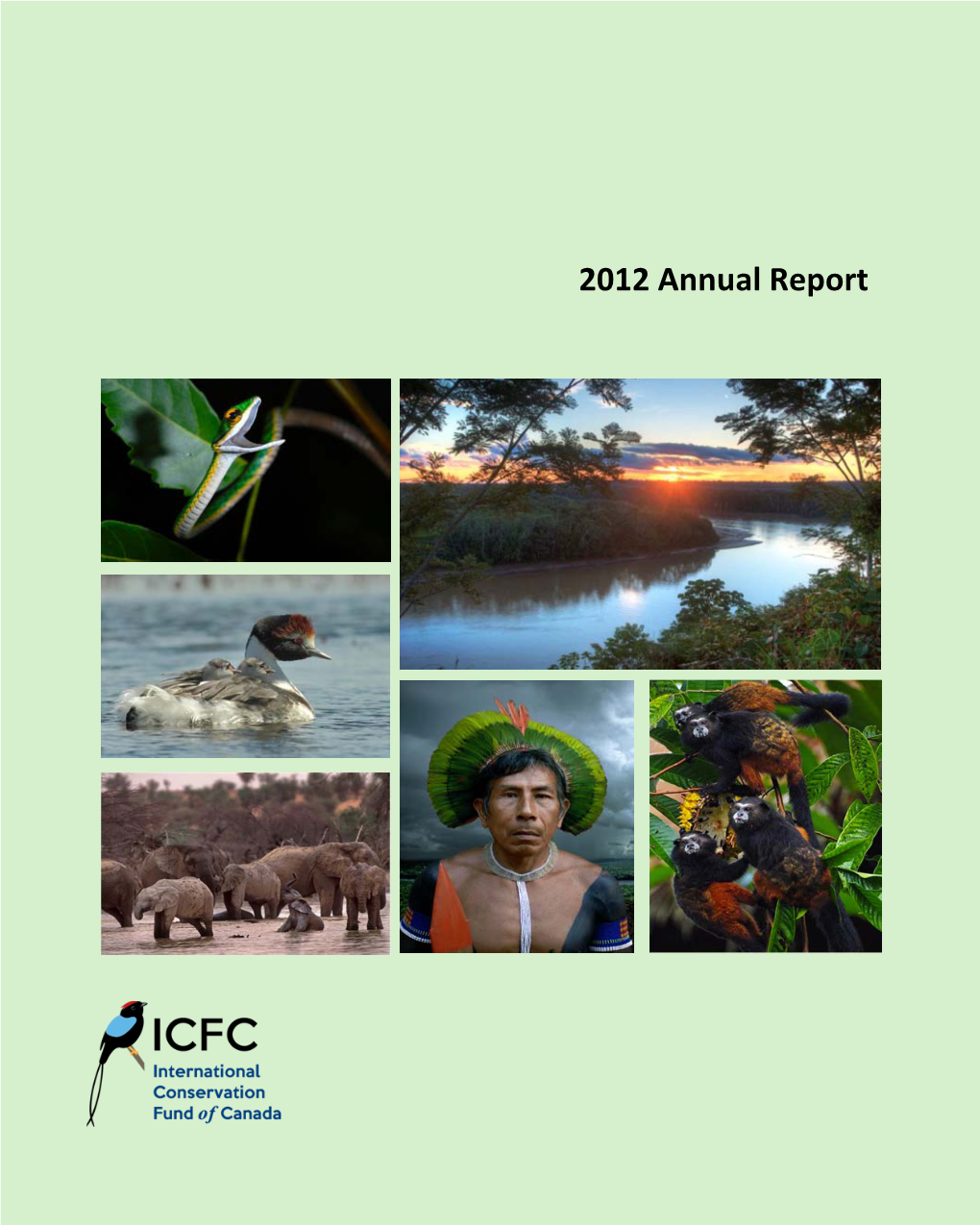 2012 Annual Report