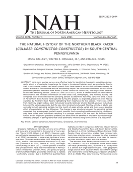 The Natural History of the Northern Black Racer (Coluber Constrictor Constrictor) in South-Central Pennsylvania