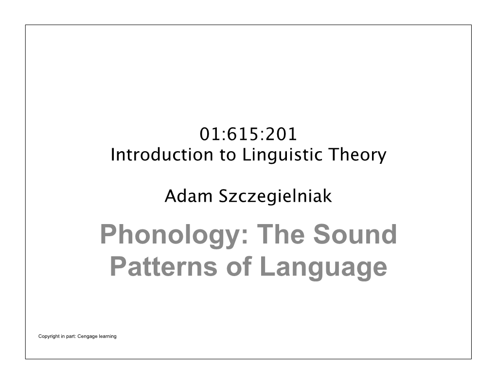 Phonology: the Sound Patterns of Language