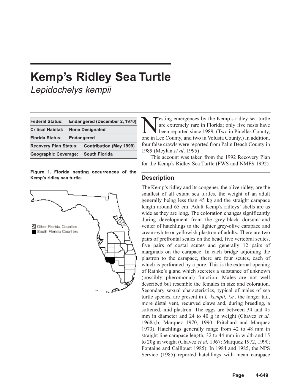 Nesting Emergences by the Kemp's Ridley Sea Turtle