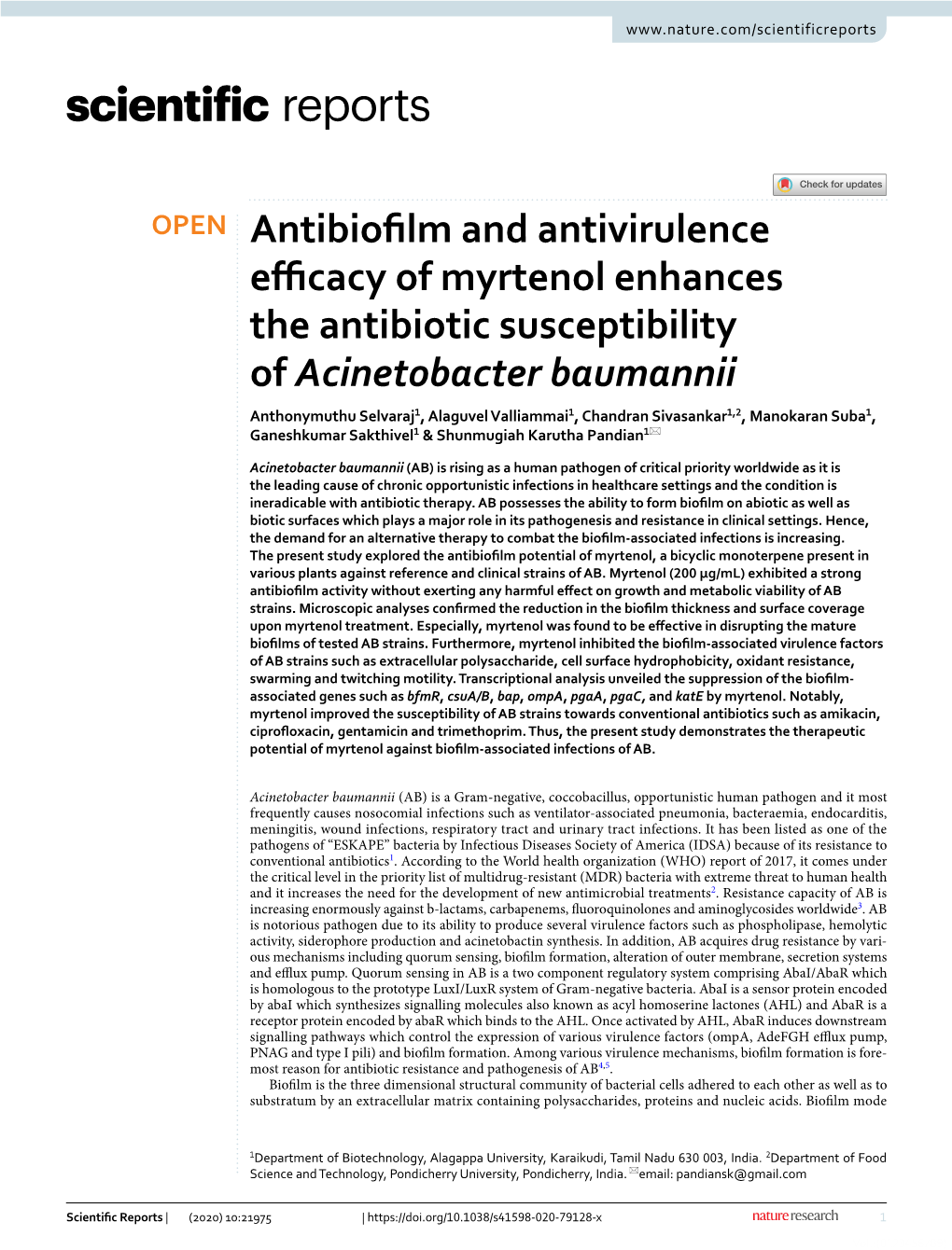 Antibiofilm and Antivirulence Efficacy of Myrtenol Enhances the Antibiotic